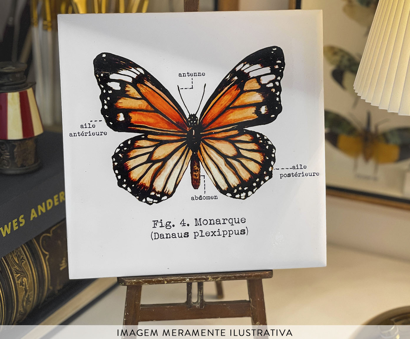 Azulejo Decorativo Borboleta Monarca Aquarela image number 6