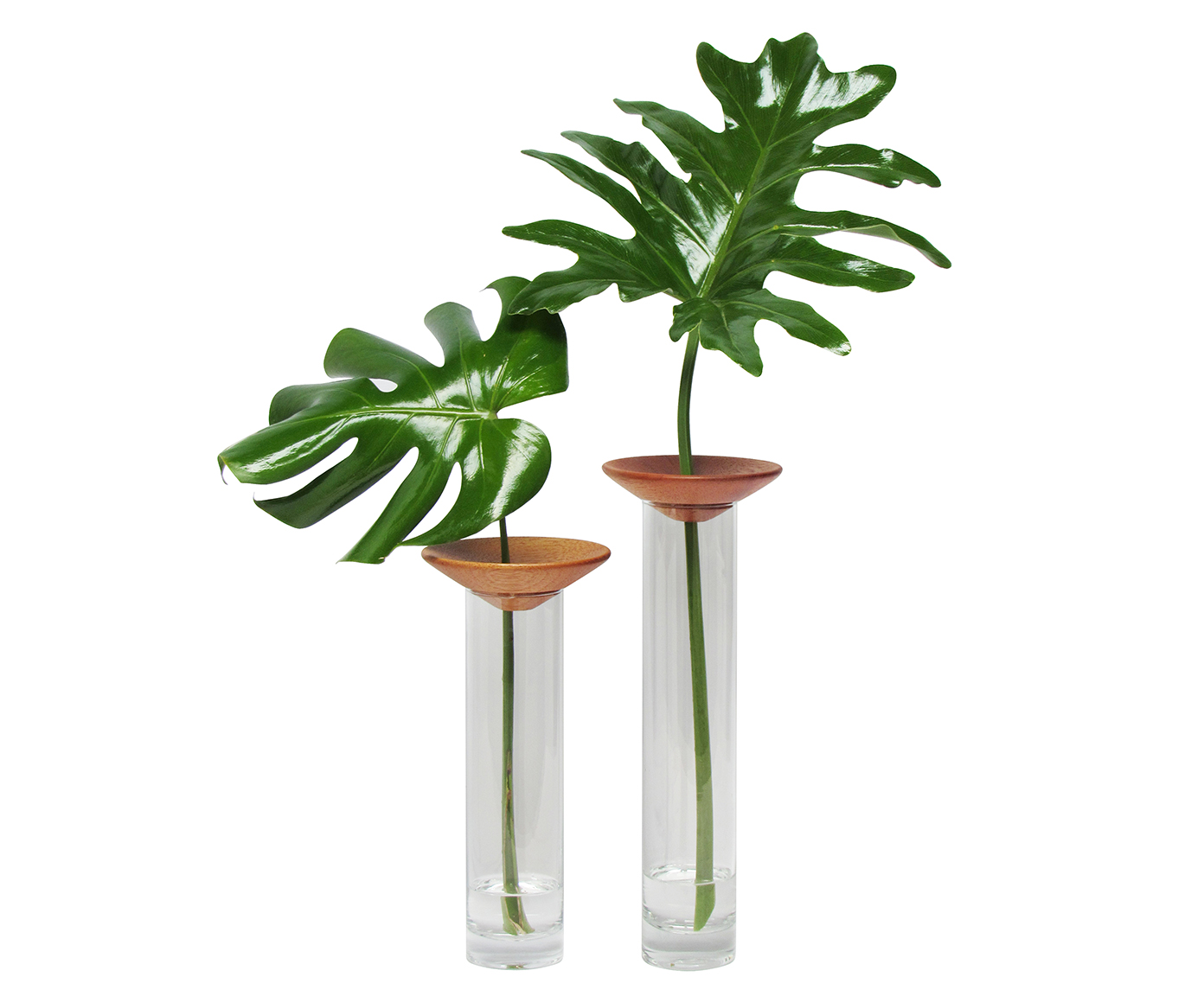 Vaso Baob&aacute; Pequeno - image 1