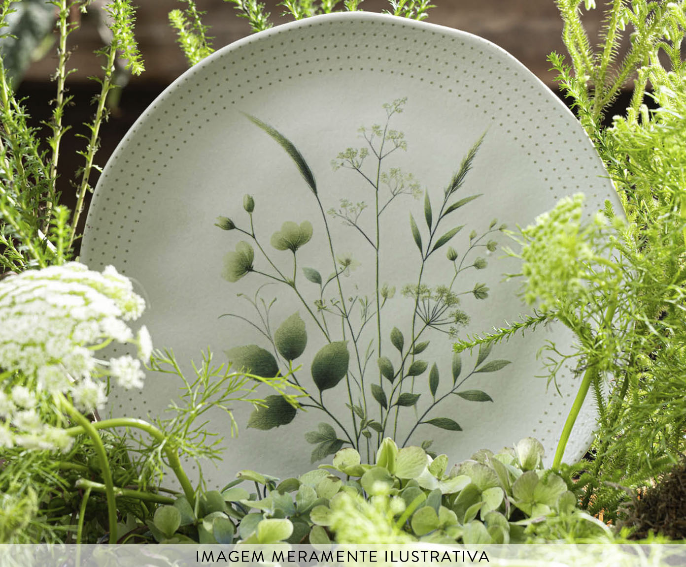 Jogo de Pratos Raso Org&acirc;nico Ammi Floral image number 3