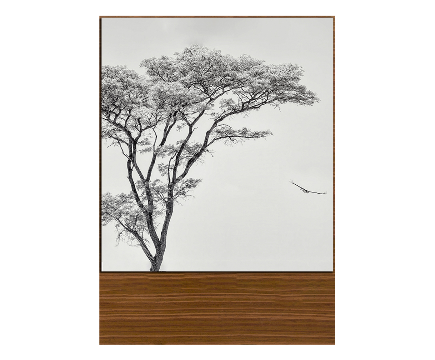 Quadro Nature White II image number 0