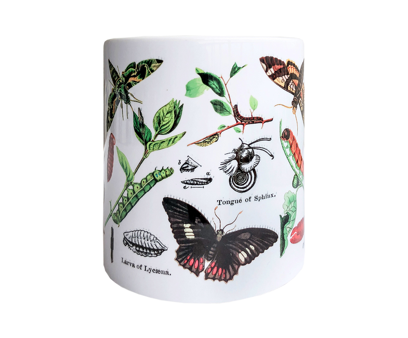 Caneca Papilio image number 2