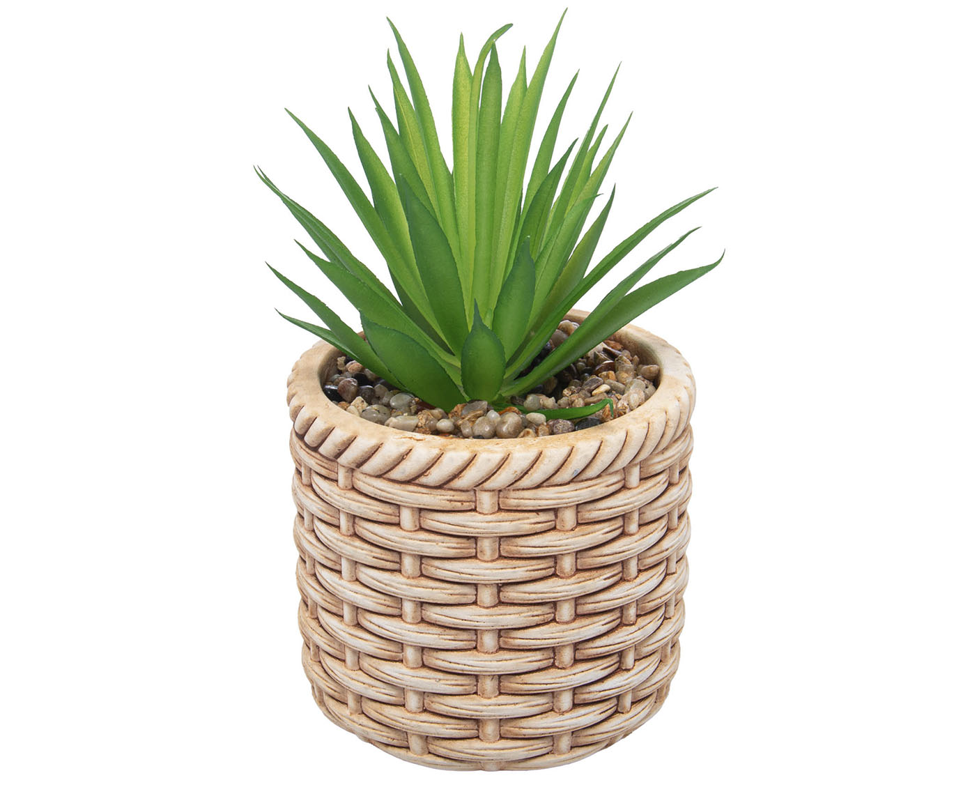 Cachepot de Cer&acirc;mica com Suculenta Rattan image number 0