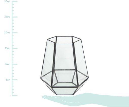 Vaso Ira&ecirc; - Preto e Transparente image number 1