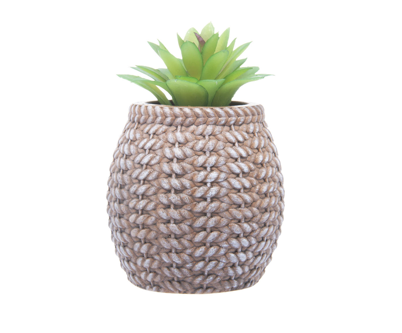 Cachepot Sisal com Suculenta I image number 0