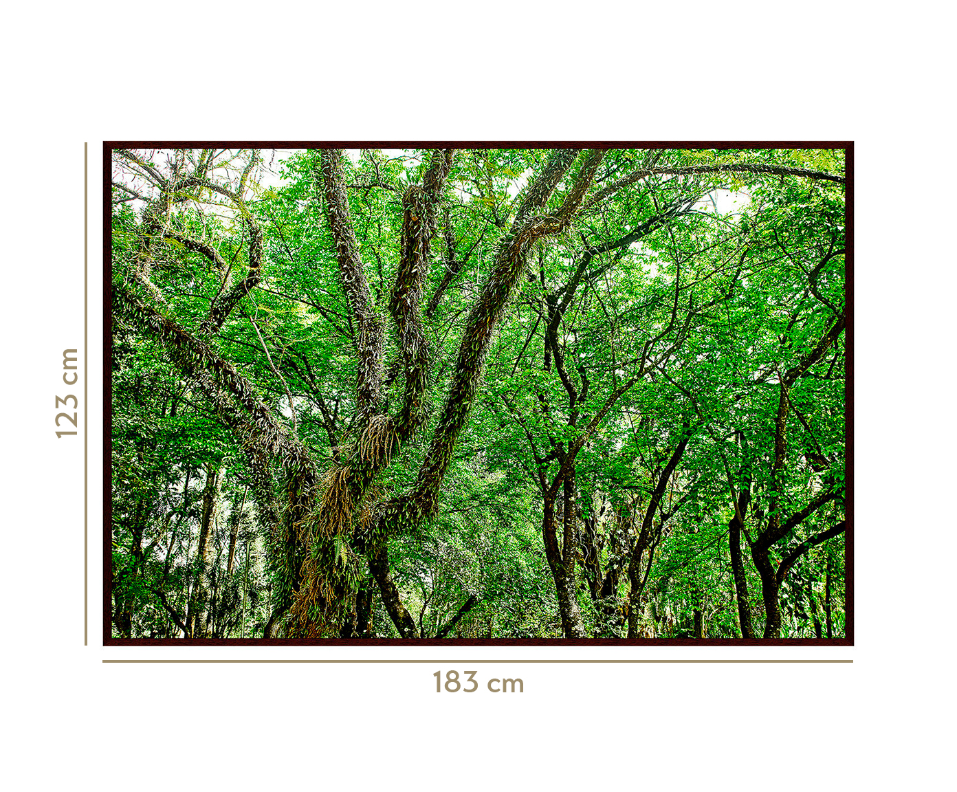Quadro Save The Forest lV image number 3