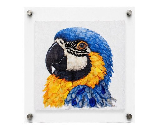 Quadro Acr&iacute;lico Arara Azul image number 0