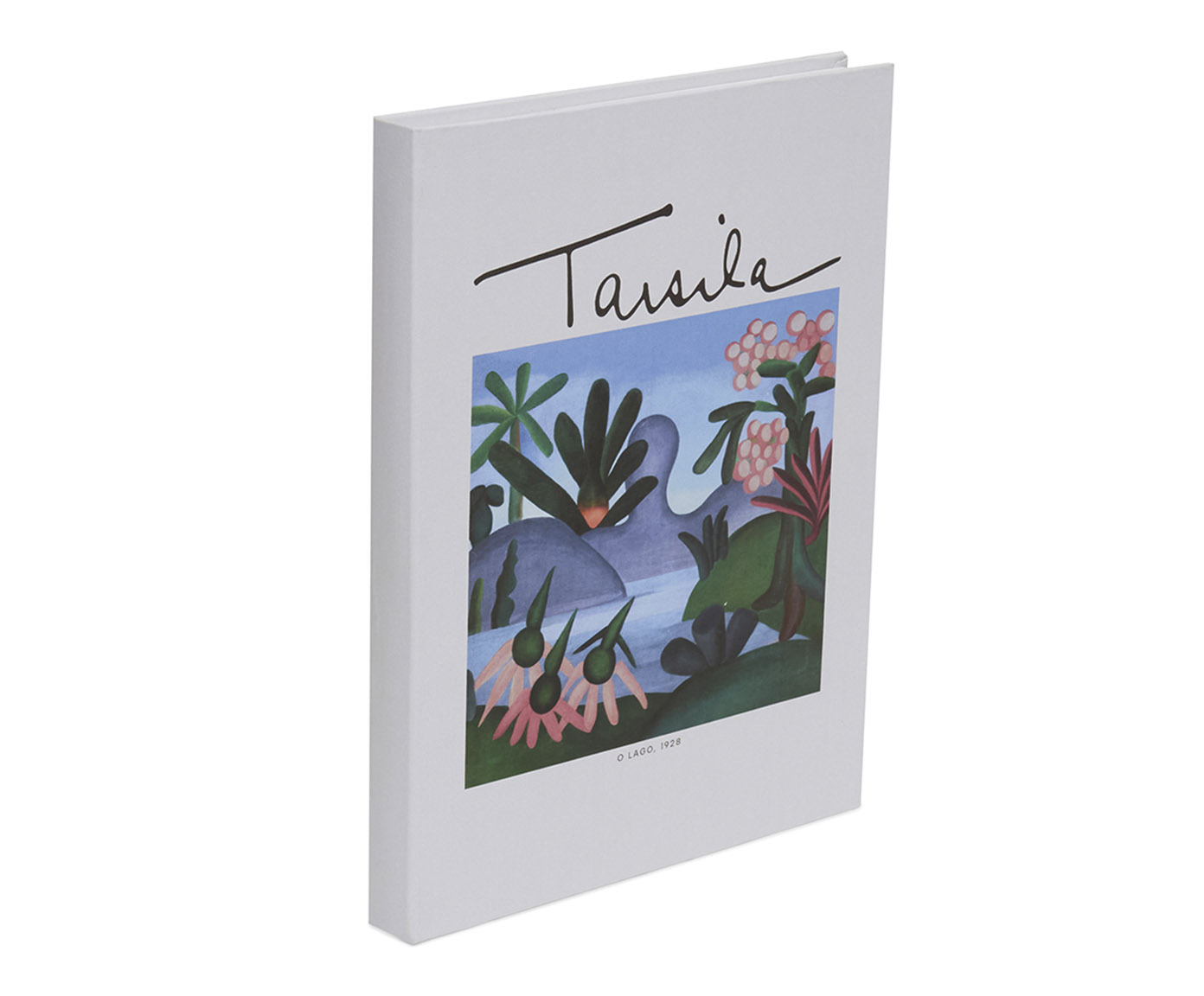 Livro-Caixa em Mdf e Canvas The Lake image number 2