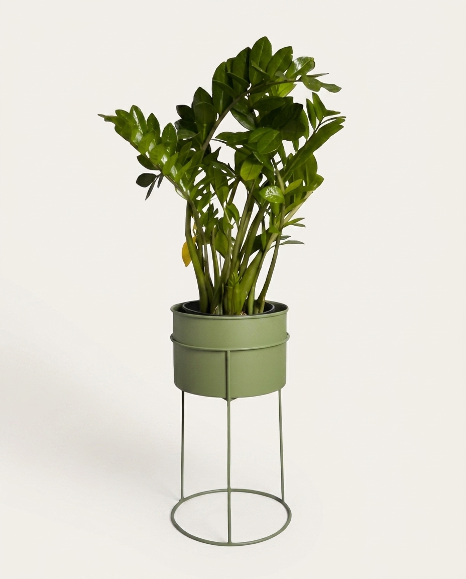 Suporte de Plantas com Vaso Humait&aacute; Verde Oliva image number 5