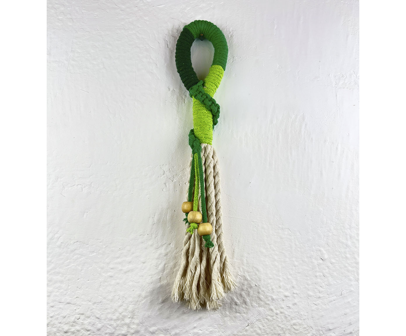 Adorno de Parede Grass - image 1