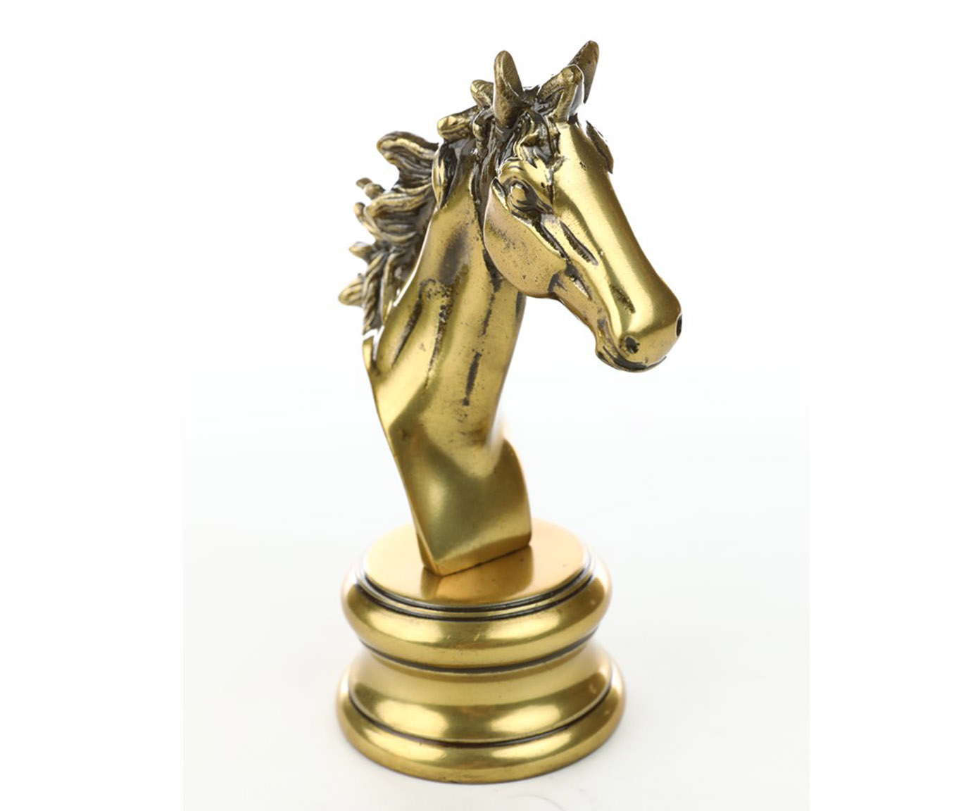 Decorativo Dorso Cavalo Dourado - image 1