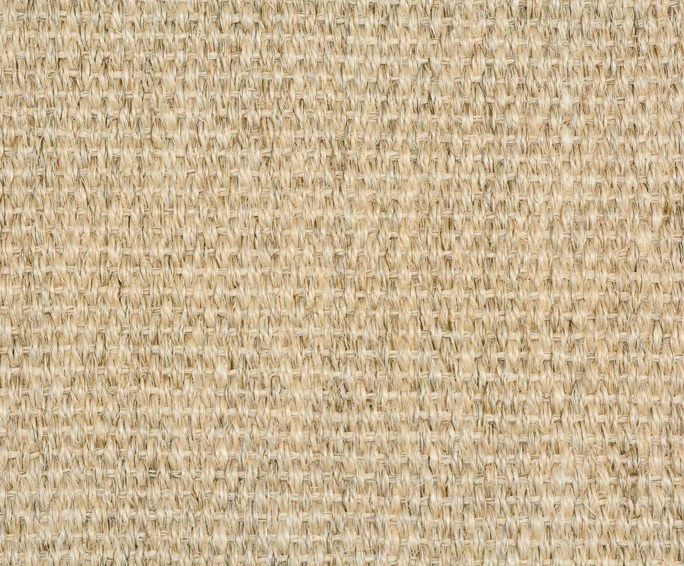 Tapete Debrum Panam&aacute; Creme image number 3