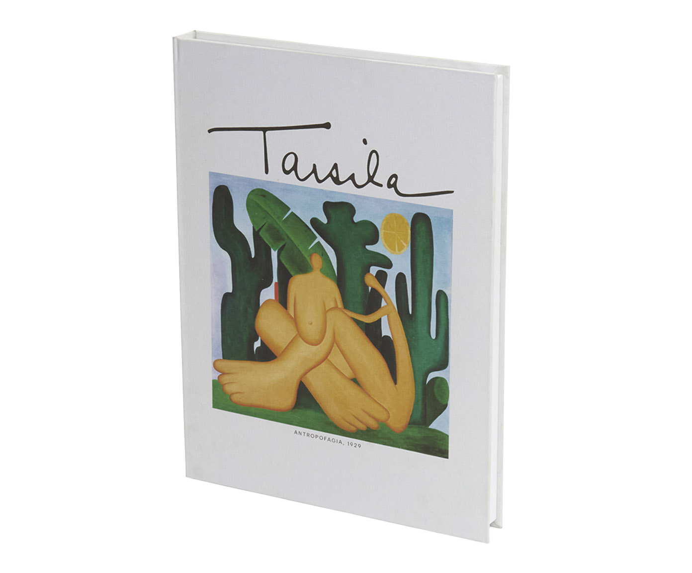 Livro-Caixa em Mdf e Canvas Antropofagia - image 0