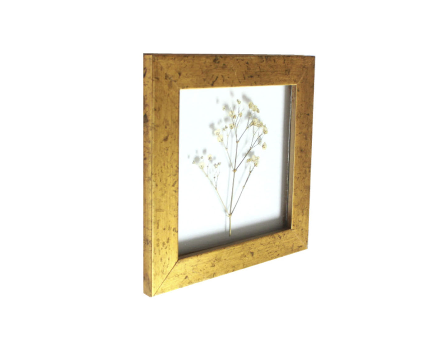 Quadro Dourado Mosquitinho image number 1