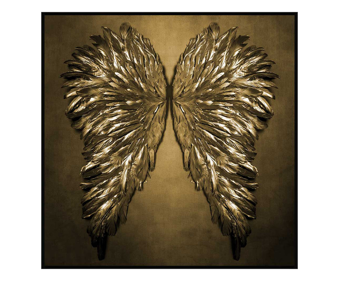 Quadro Wings I -  Nicole Wells - image 0