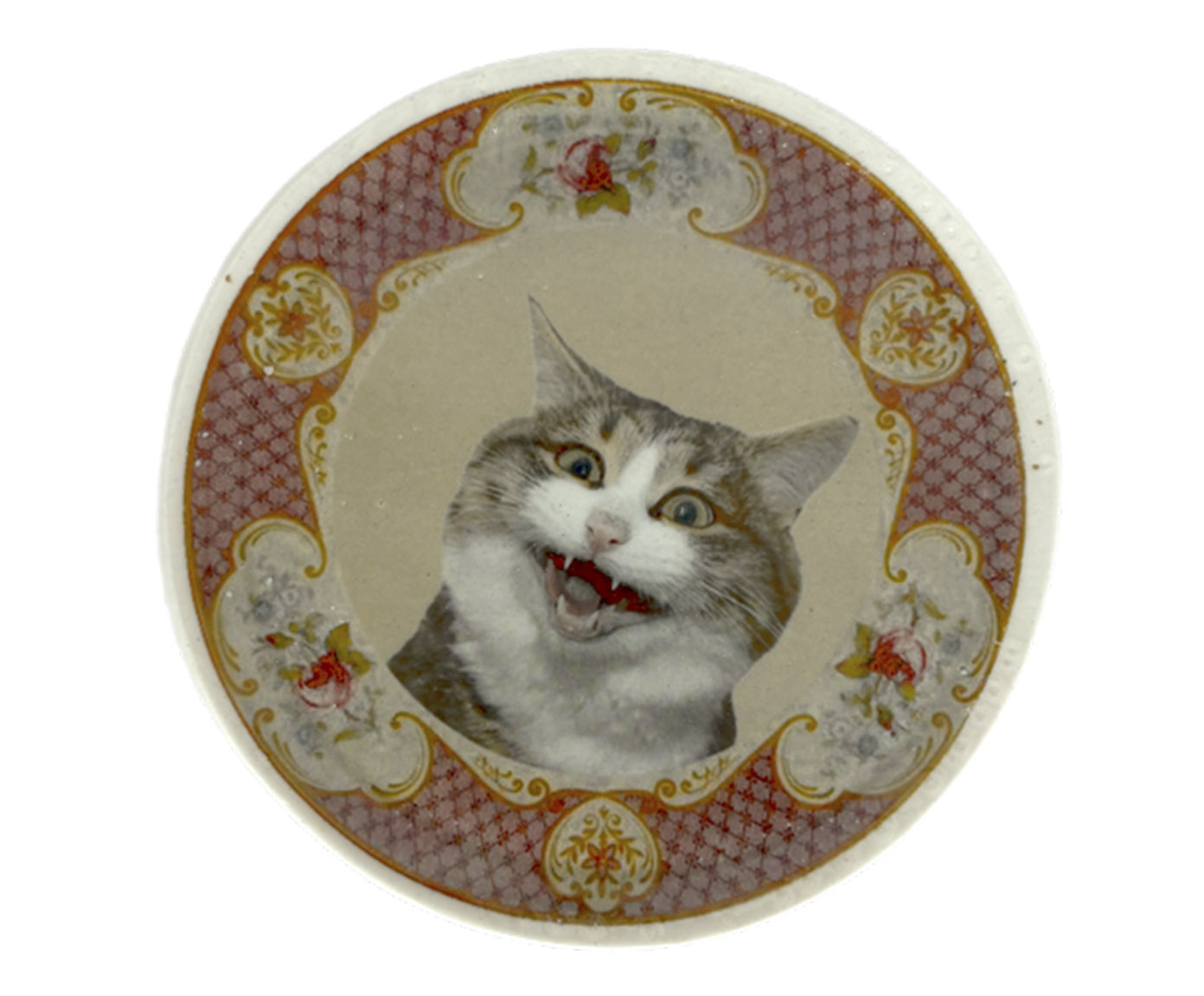 Adorno Prato M&eacute;dio Stampa Miau Bege image number 0
