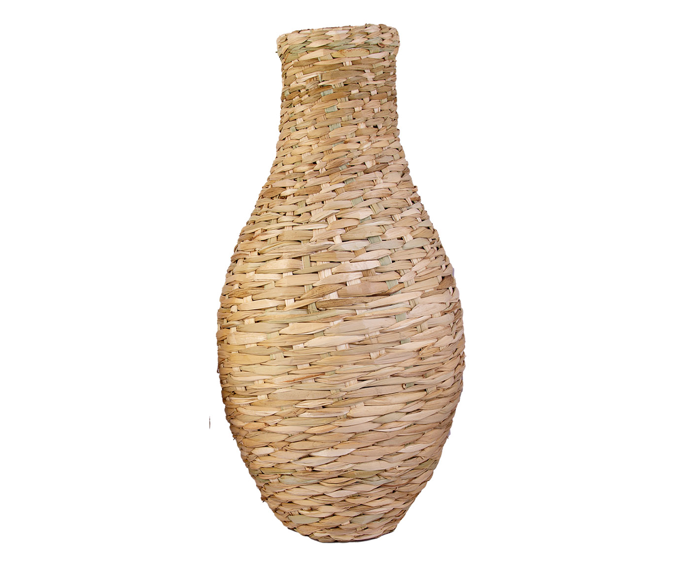 Moringa Amandy image number 0