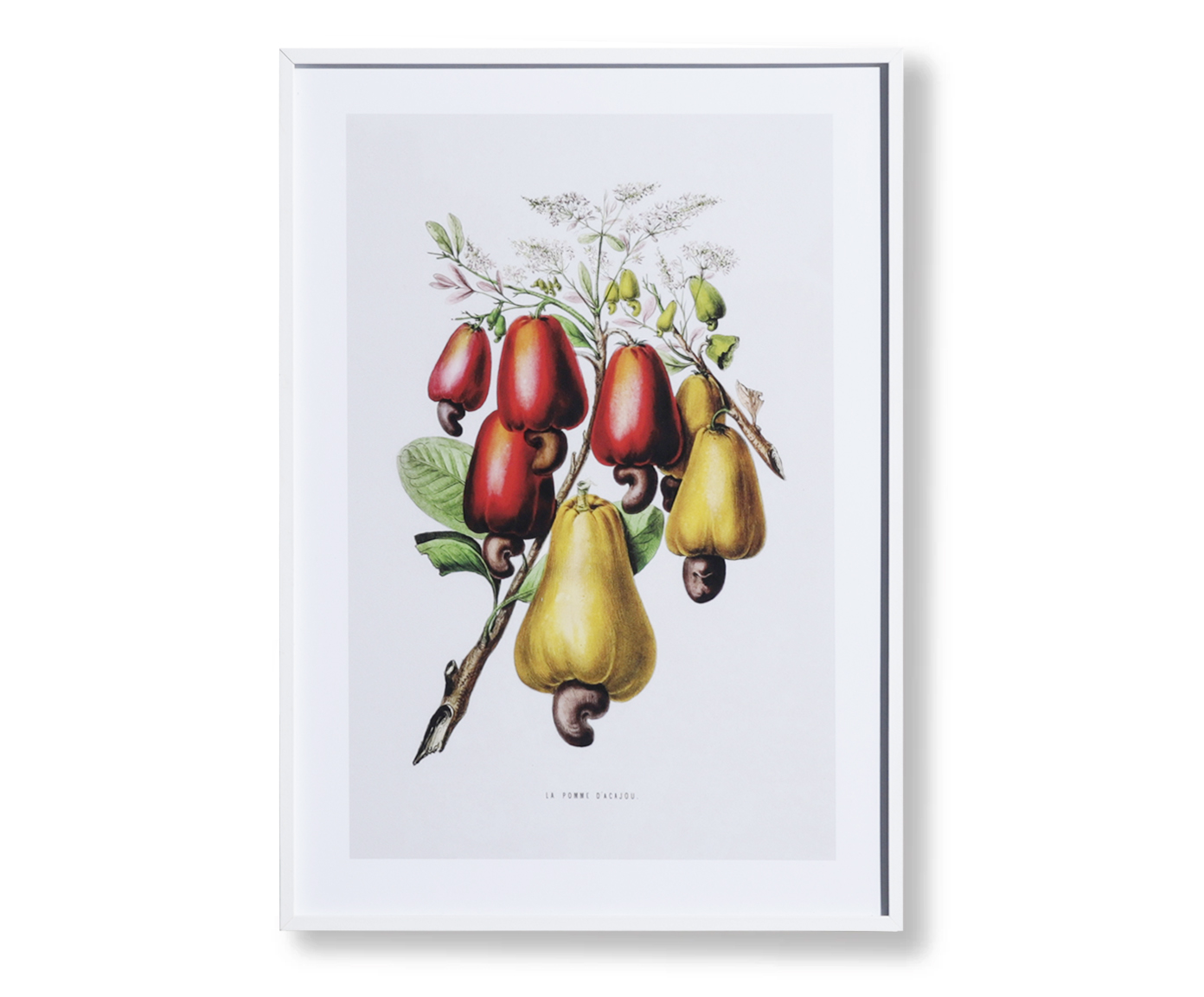Quadro Decorativo Alceu image number 1