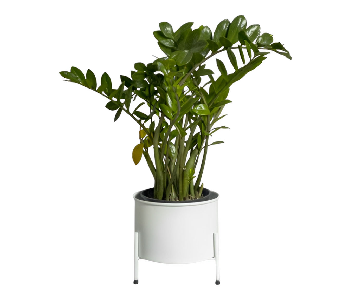 Suporte de Plantas com Vaso Slim Humait&aacute; Branco image number 0