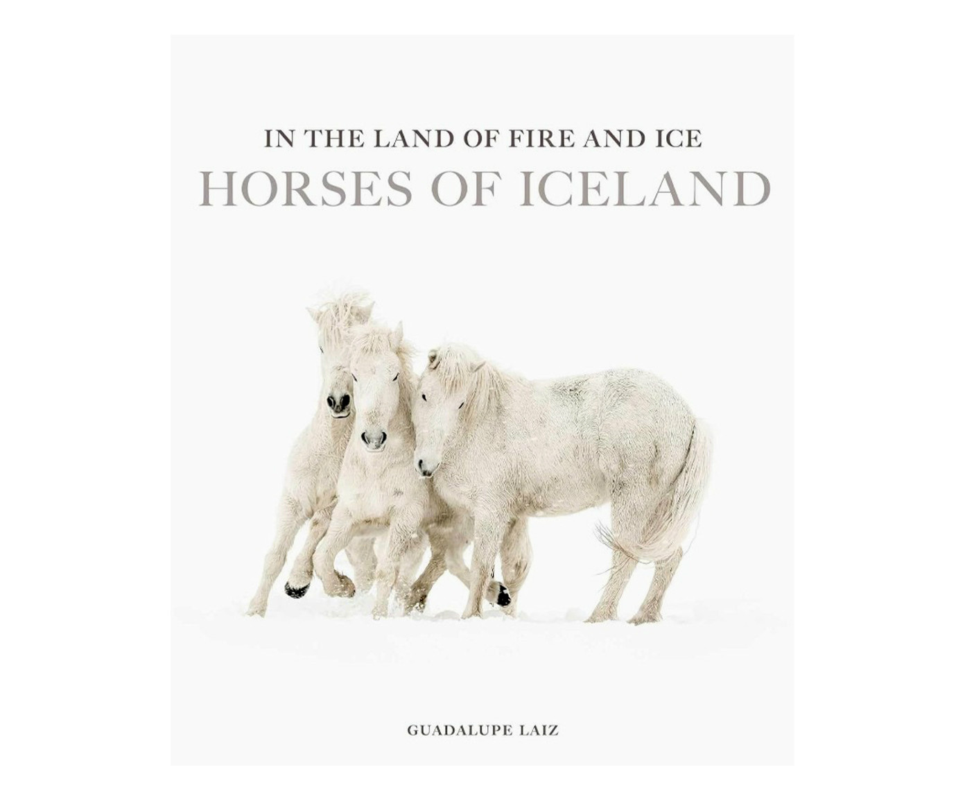 Livro "In The Land Of Fire And Ice: Horses Of Iceland" image number 0