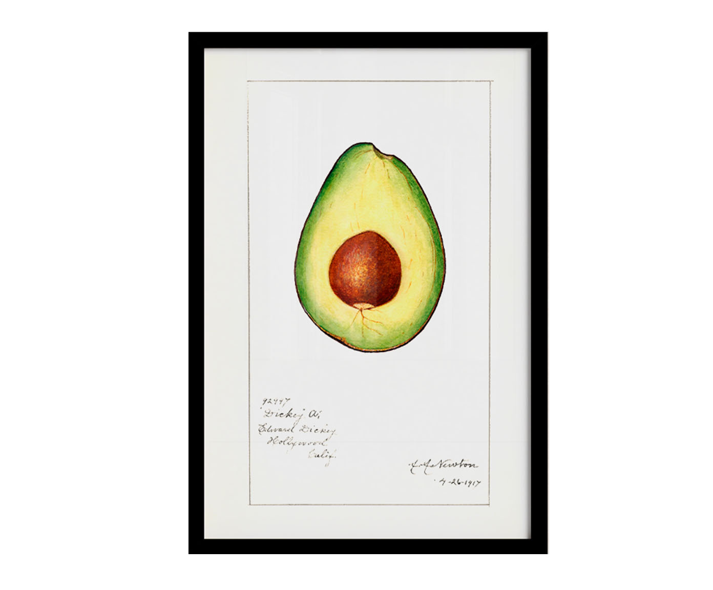 Quadro Avocado Vintage com Moldura Preta - image 1