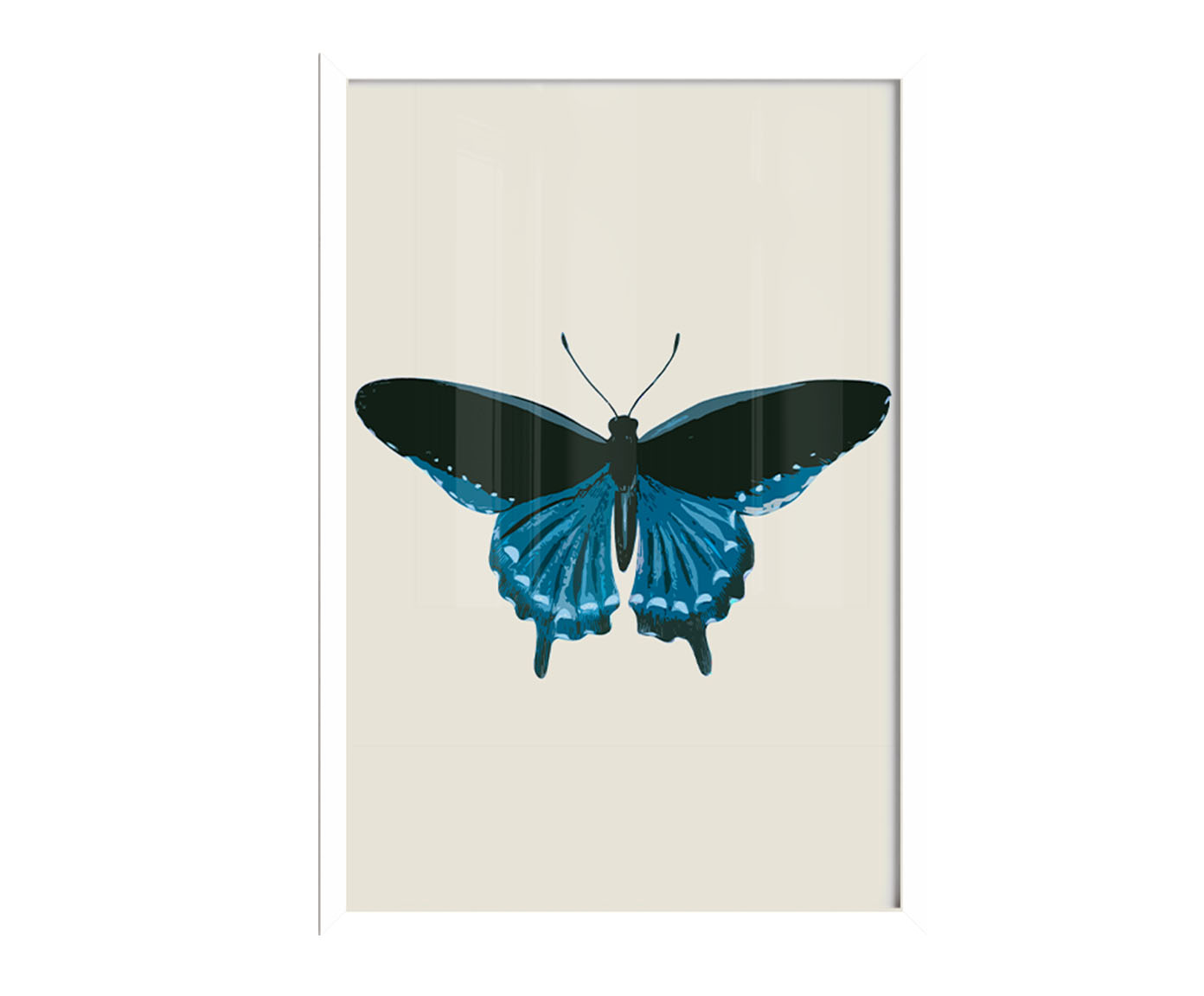 Quadro Borboleta Azul com Moldura Branca - image 1