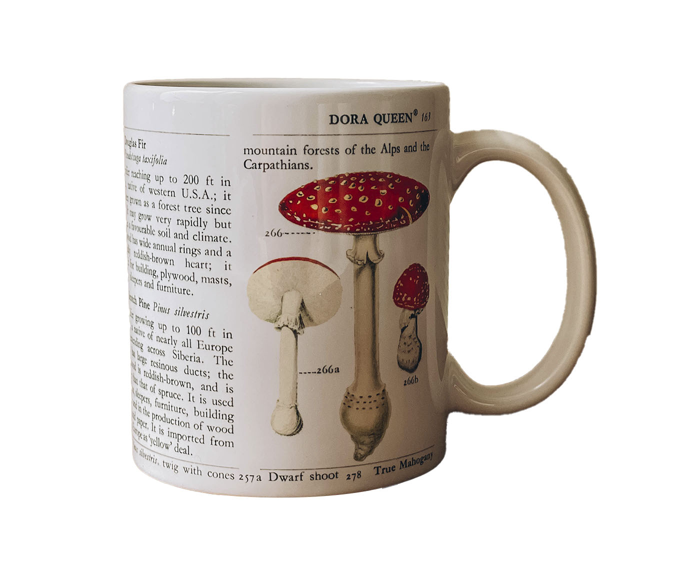 Caneca Livro Bot&acirc;nico image number 0