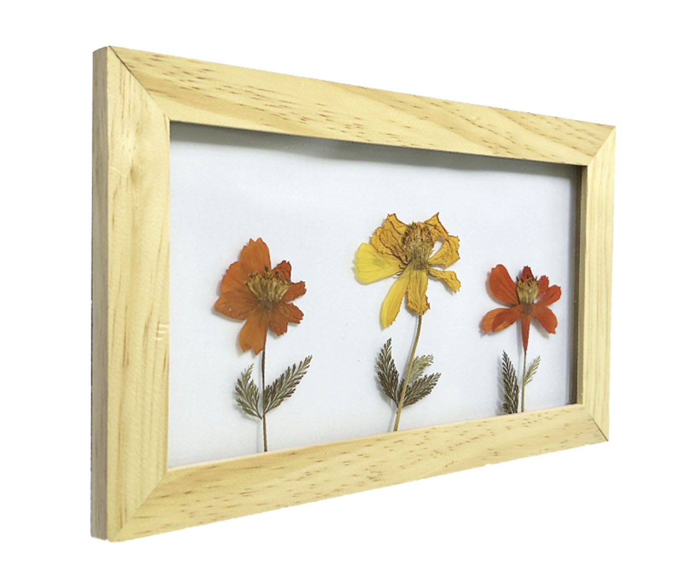 Quadro Cosmos Pinus image number 1