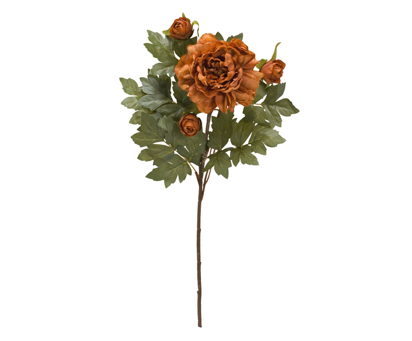 Flor Artificial Peronia Aravis - image 0