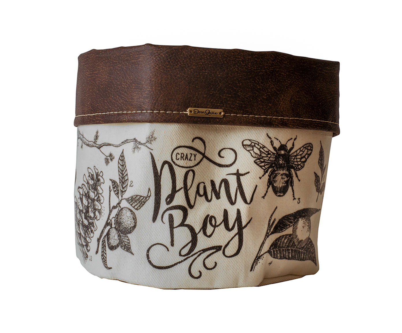 Cachepot Crazy Plant Boy Cru image number 0