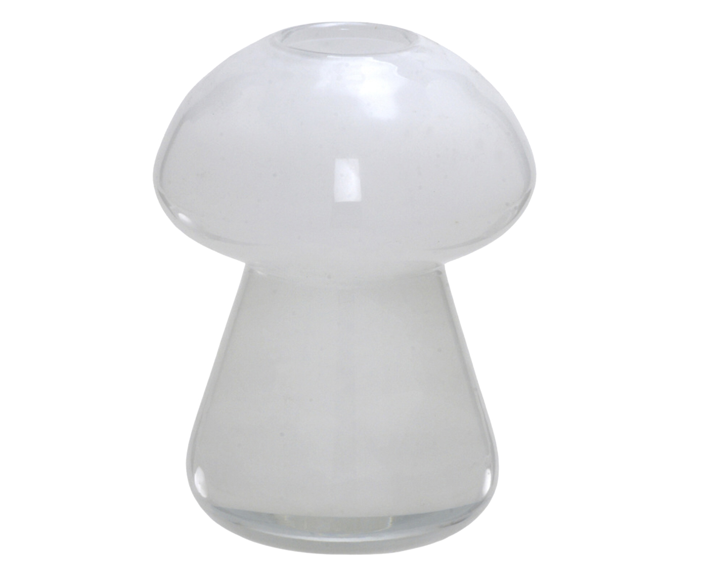 Vaso Decorativo Argonauta - image 0