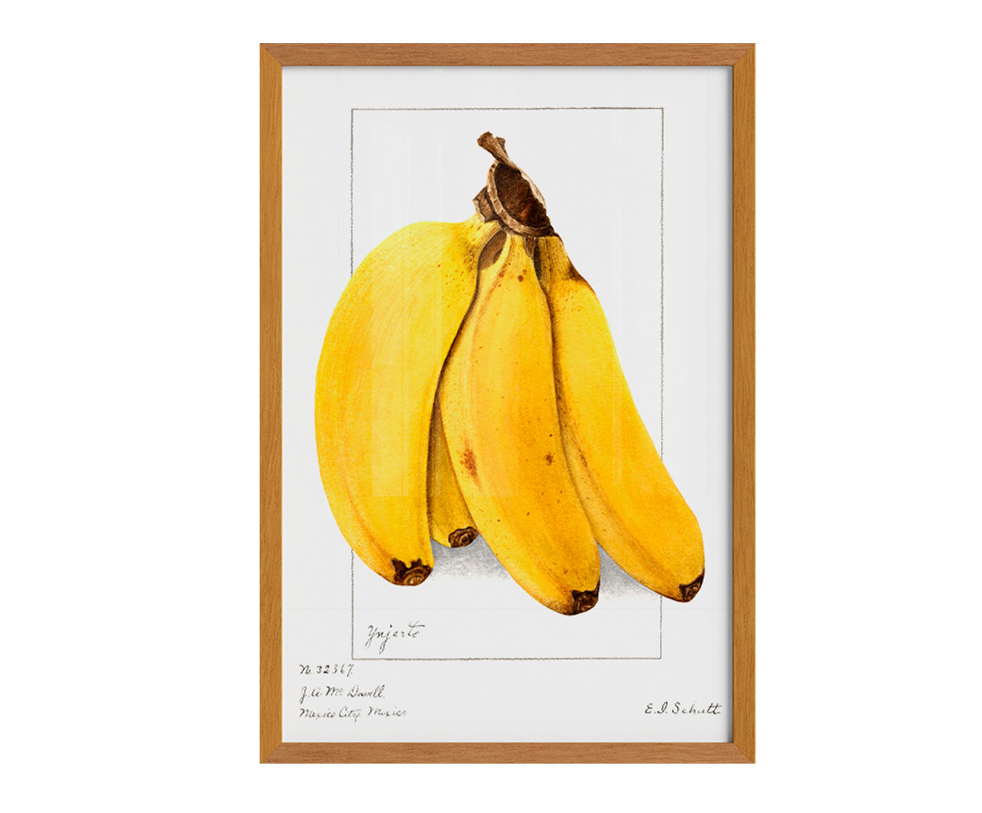 Quadro Banana Vintage com Moldura em Madeira image number 0