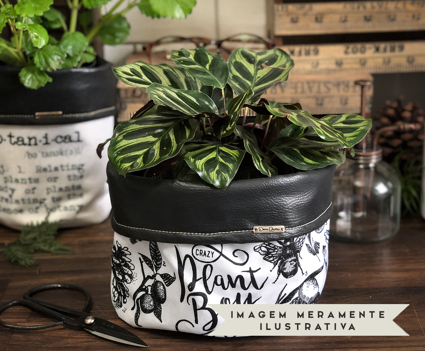 Cachepot Crazy Plant Boy Preto e Branco image number 1