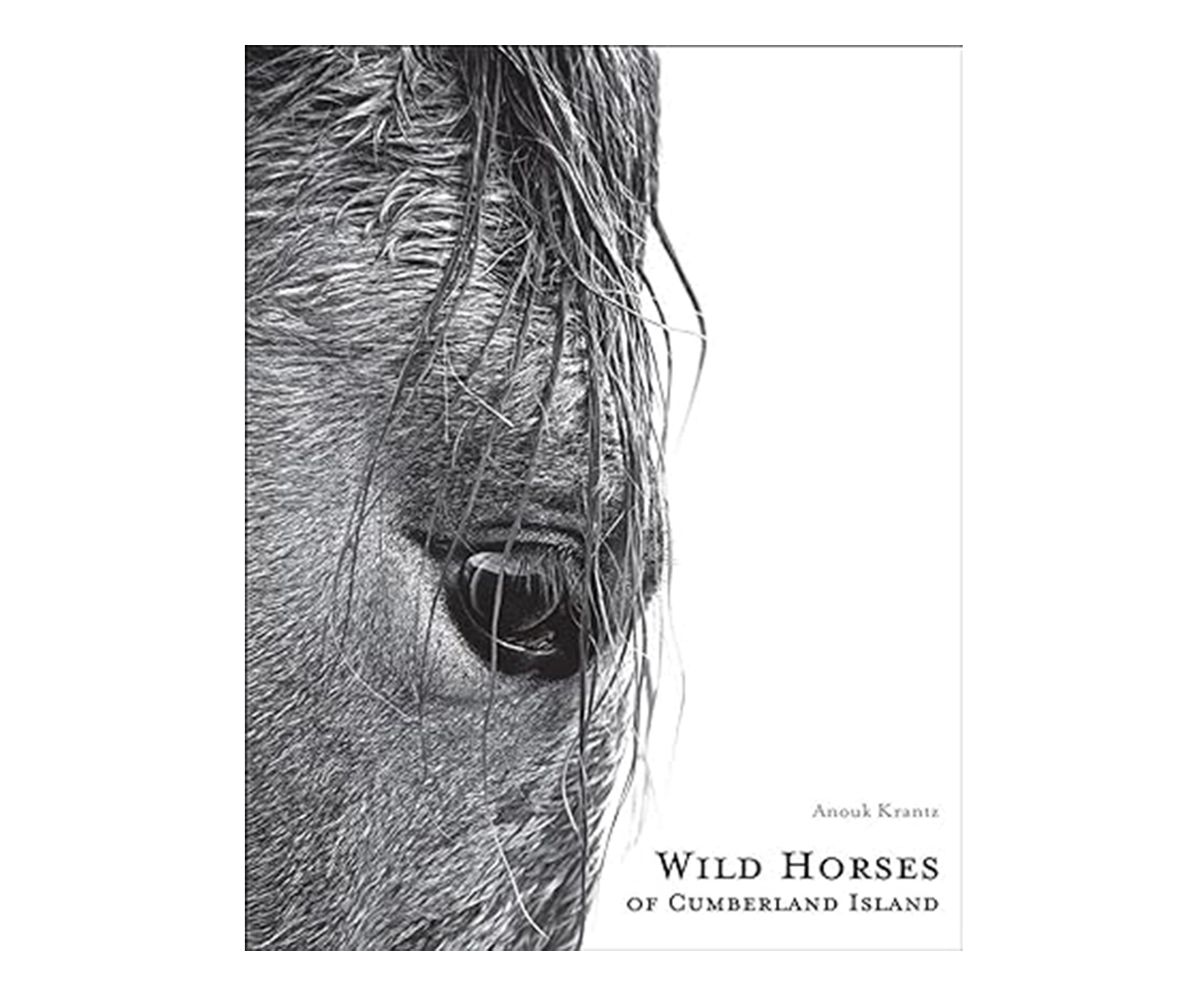 Livro "Wild Horses Of Cumberland Island: Anouk Masson Krantz" image number 0