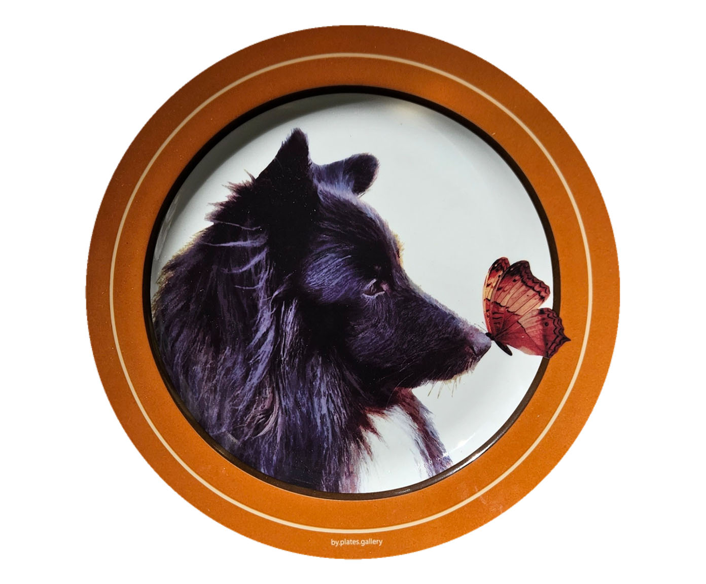 Jogo de Pratos em Porcelana Shelties - image 0