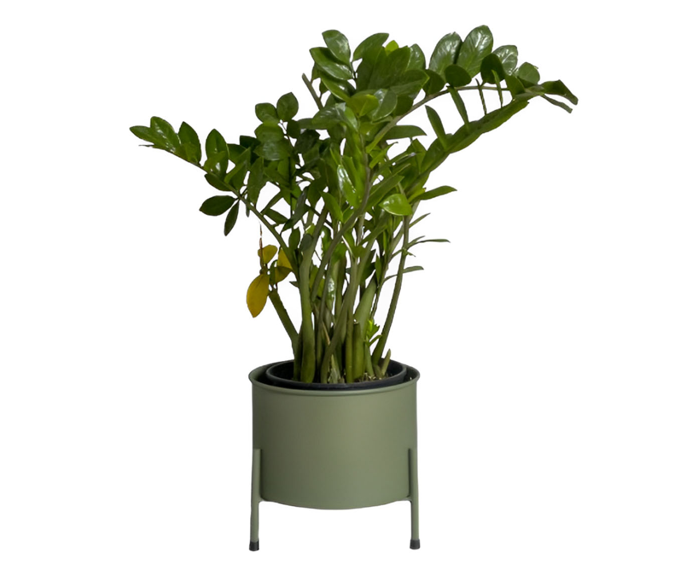 Suporte de Plantas com Vaso Slim Humait&aacute; Verde Oliva - image 0