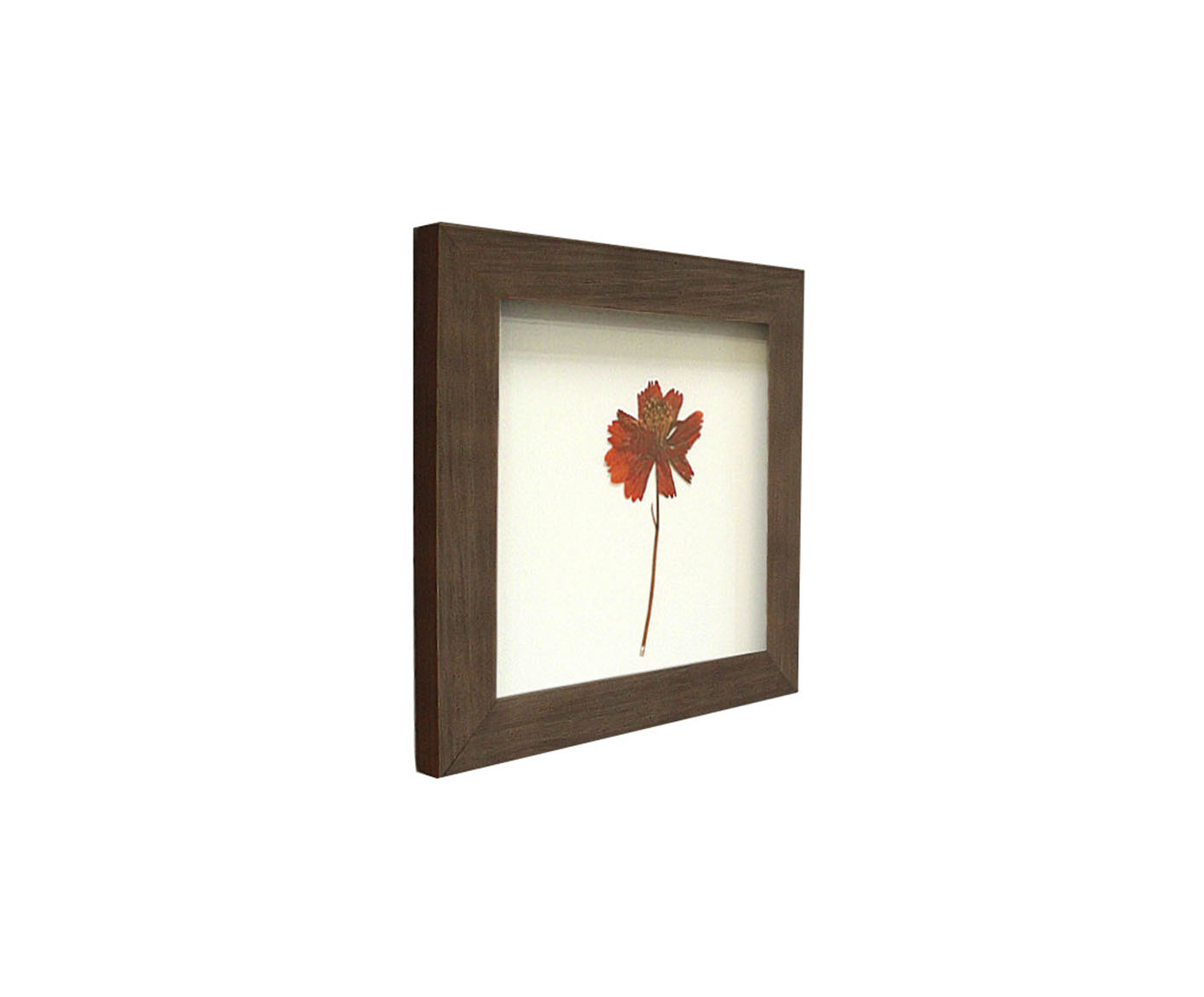 Quadro Cosmos Imbuia image number 1