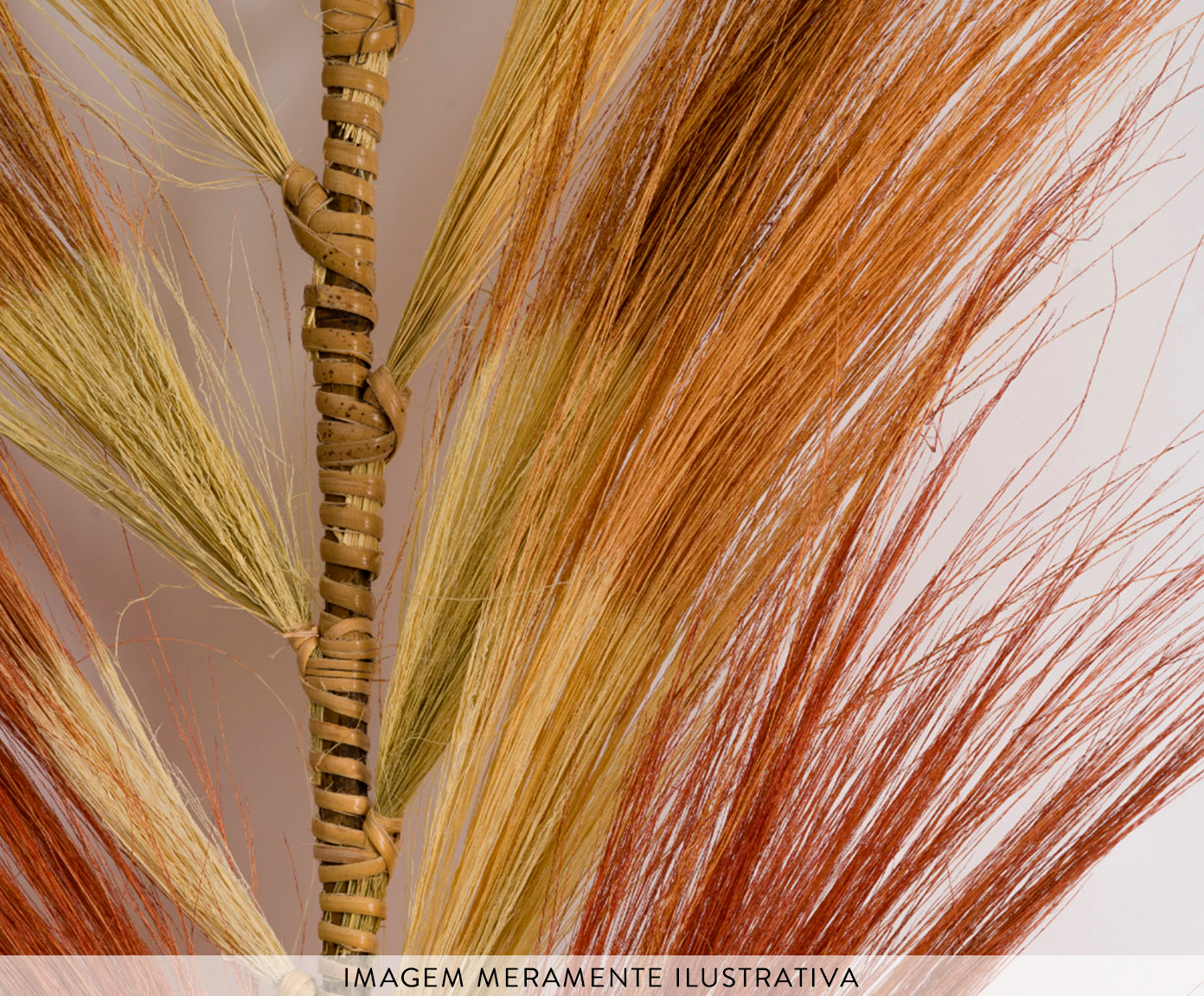 Capim dos Pampas Kawe - 2 m image number 2