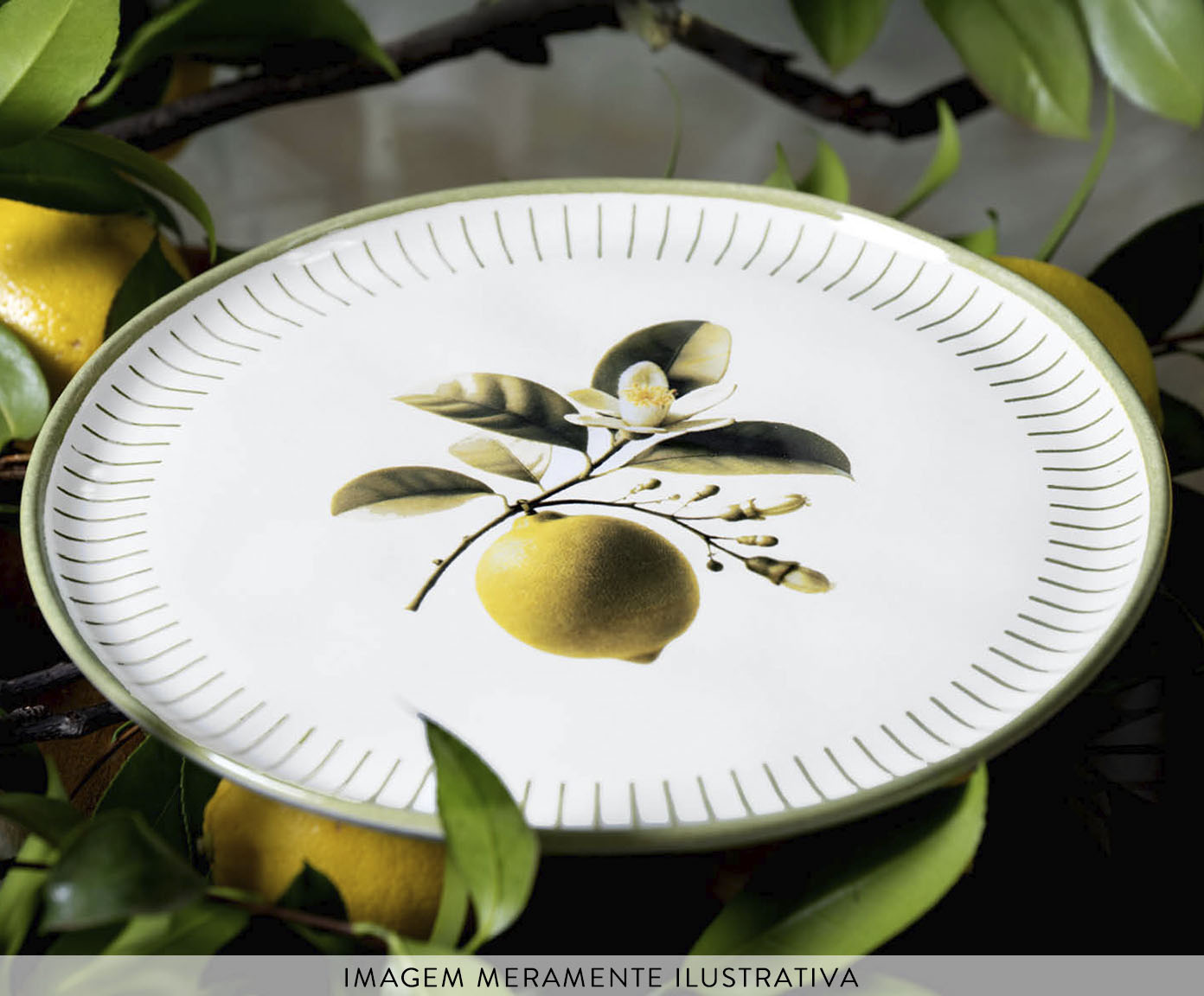 Jogo de Pratos Raso Bio Lemon Frutas - image 1