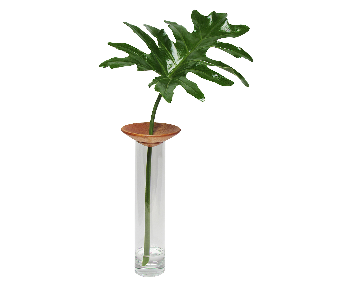 Vaso Baob&aacute; Maior - image 0