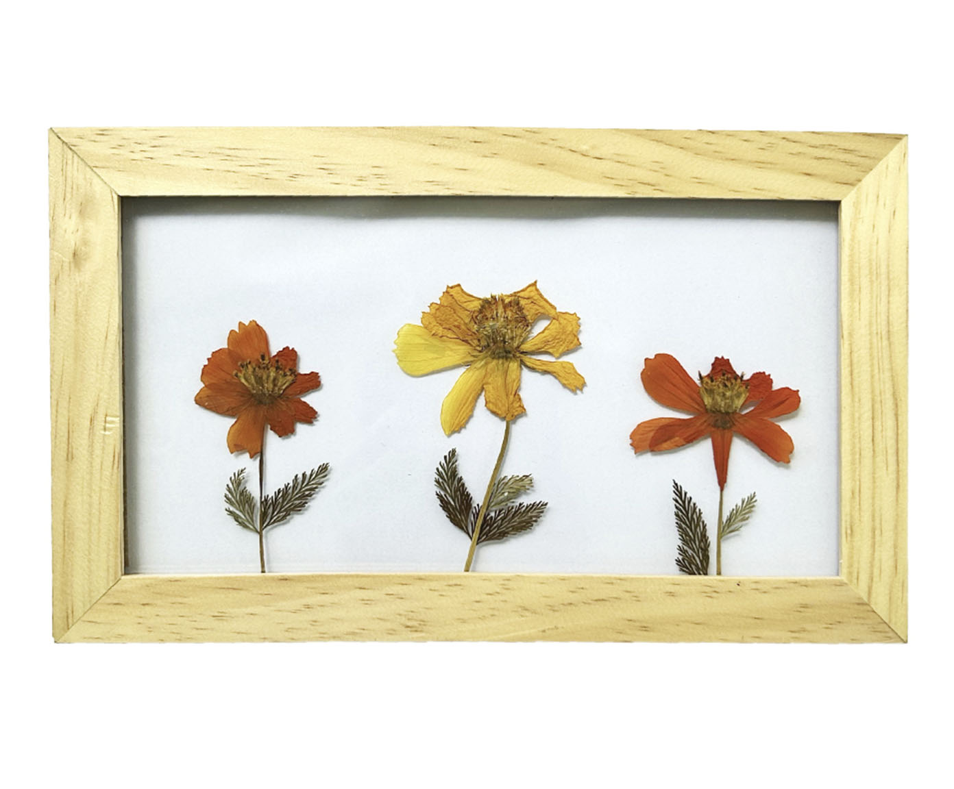 Quadro Cosmos Pinus image number 0