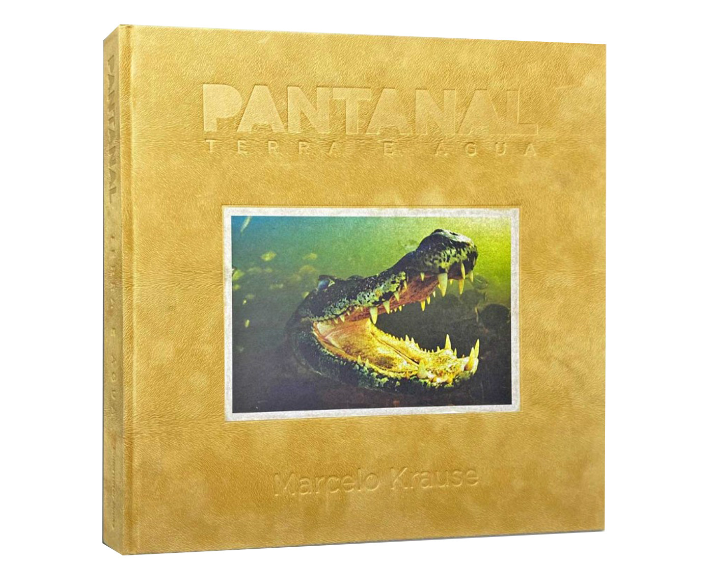 Livro "Pantanal: Terra e &Aacute;gua" - image 0
