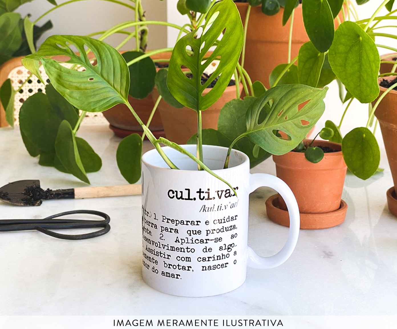 Caneca Cultivar image number 4