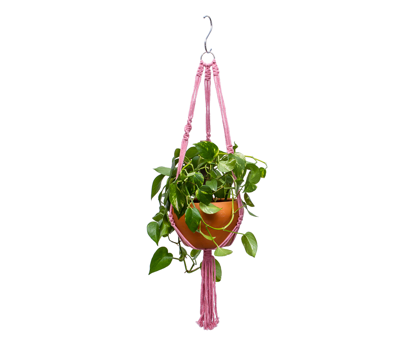 Hanger em Macram&ecirc; Clean Rose image number 0