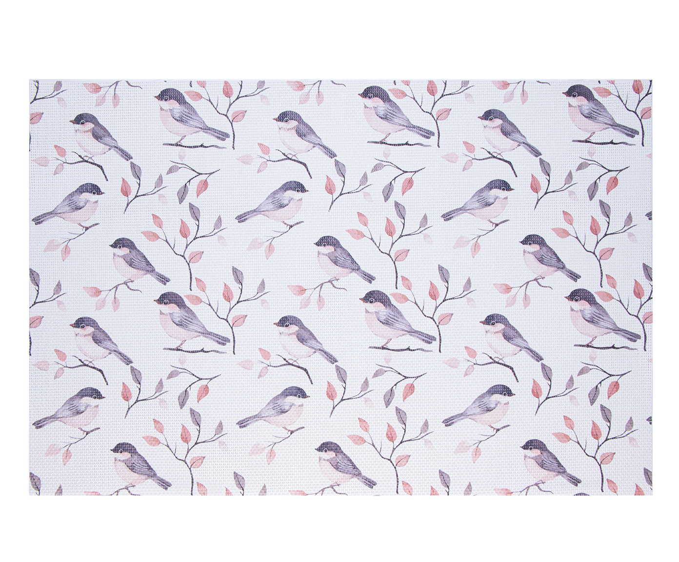 Lugar Americano Bird image number 0