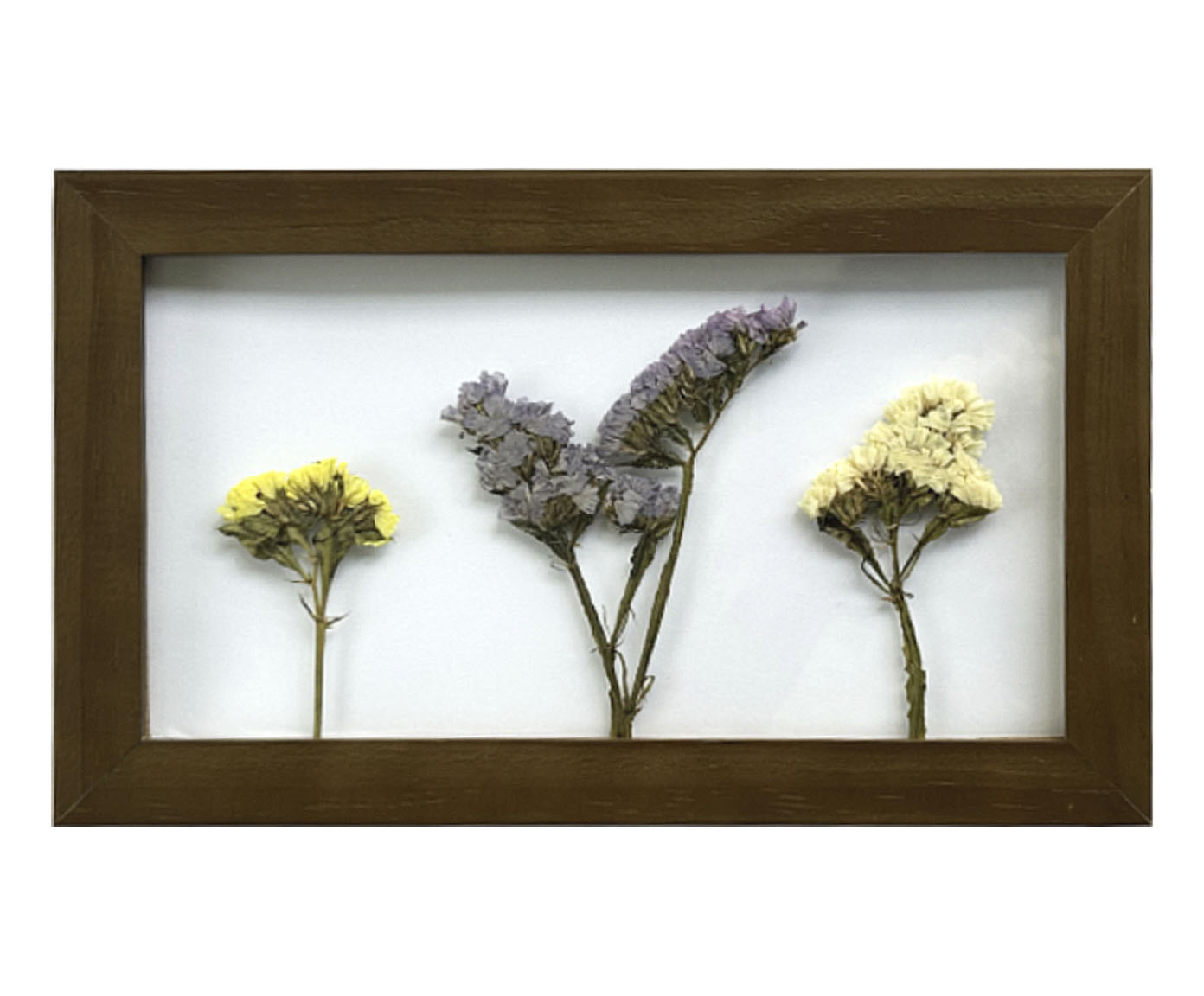Quadro Mosquitinho Imbuia image number 0
