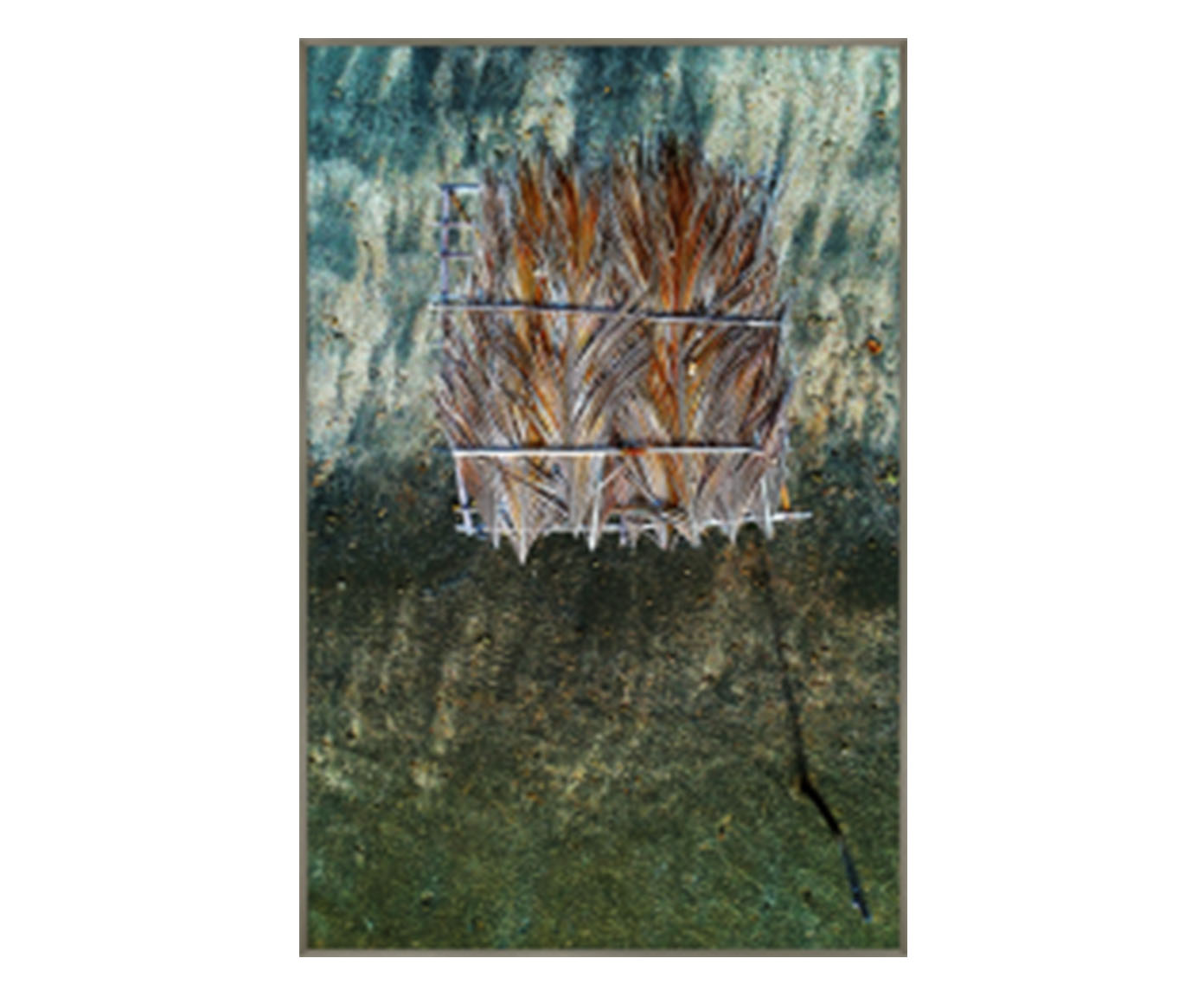 Quadro Varda - Reinaldo Giarola image number 0