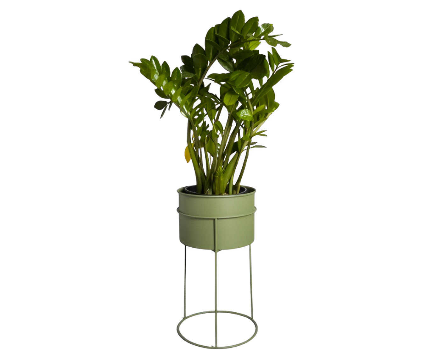 Suporte de Plantas com Vaso Humait&aacute; Verde Oliva - image 0