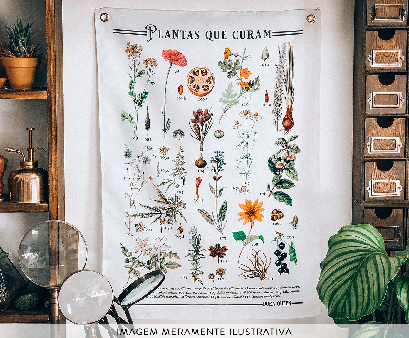 Tecido de Parede Plantas Que Curam image number 2