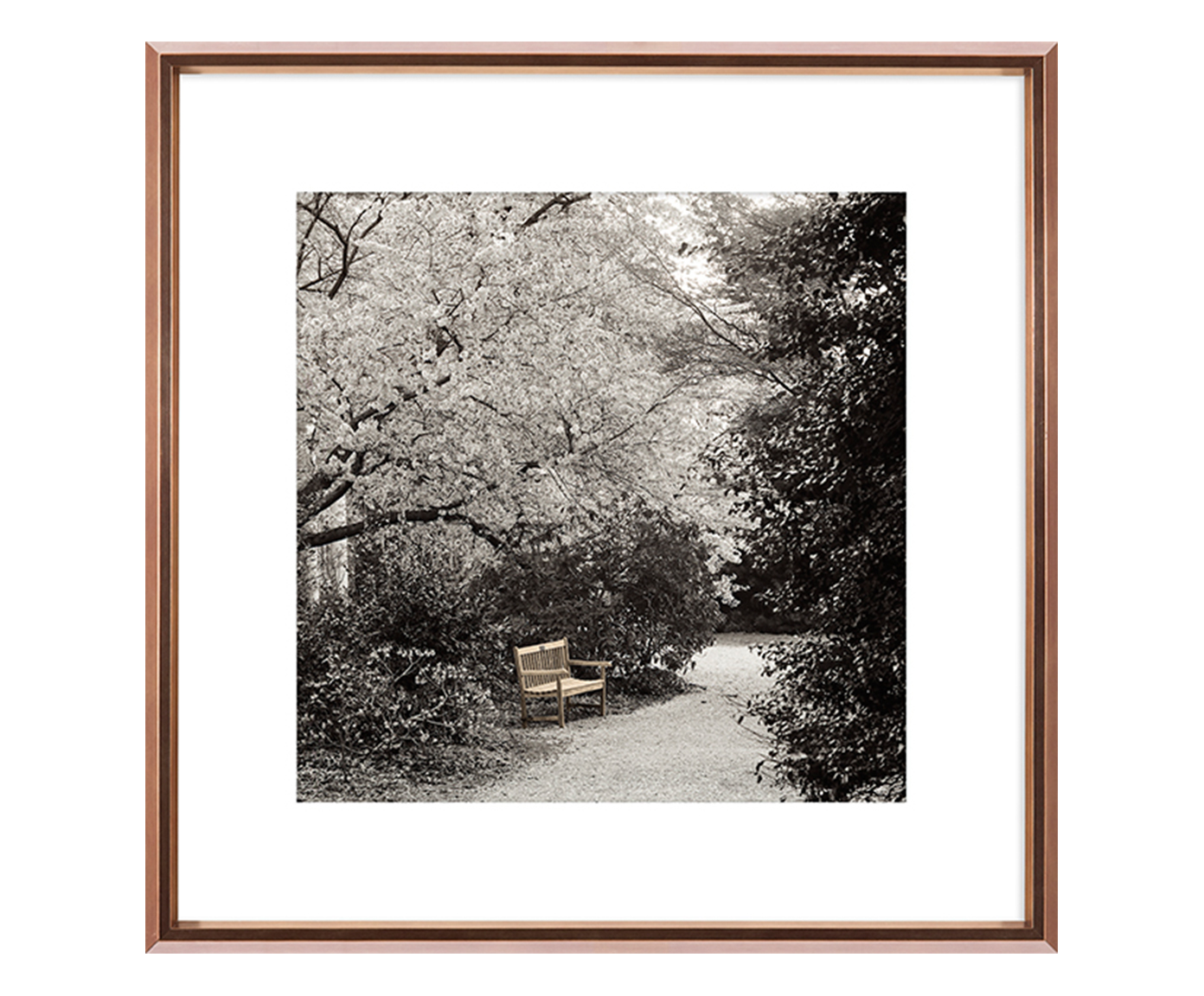 Quadro Adom - image 0