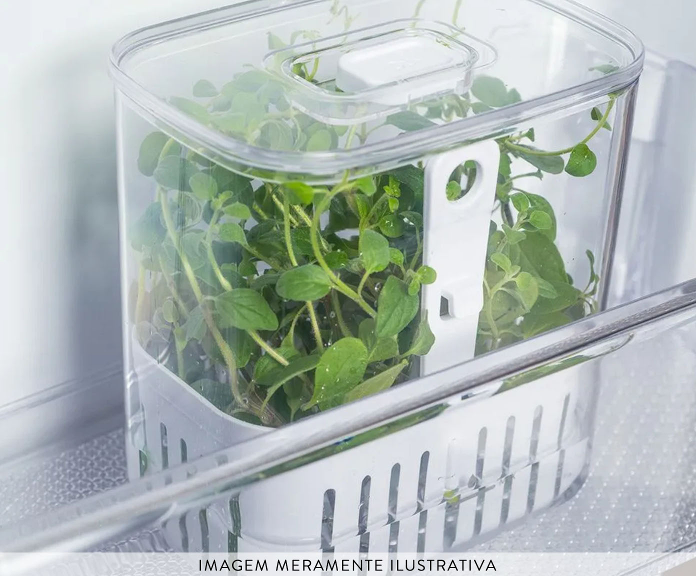 Organizador de Temperos Clear Fresh I Natural - image 1